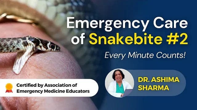 Emergency Care of Snakebite: Part II
